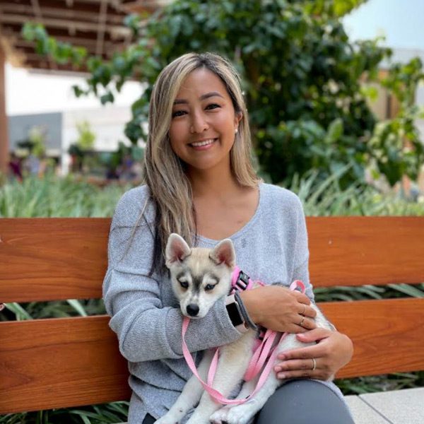 Alaskan Klee Kai Adoption- Enya