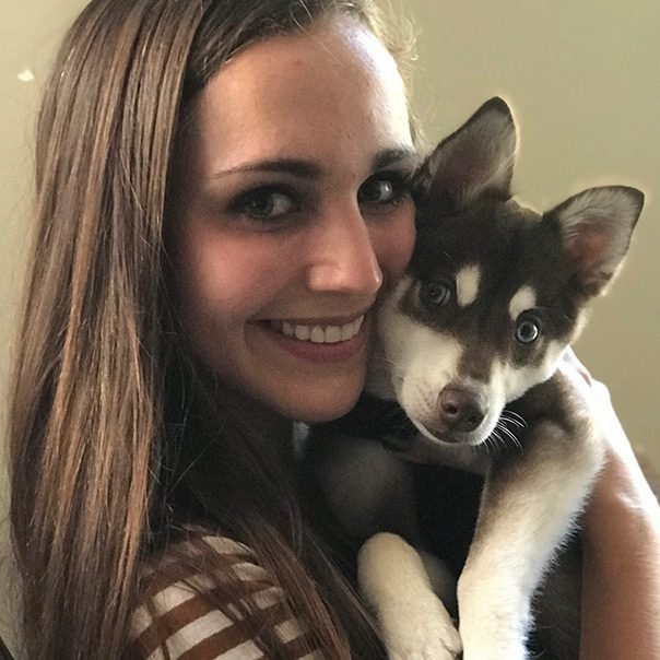 Alaskan Klee Kai Adoption- Tessa