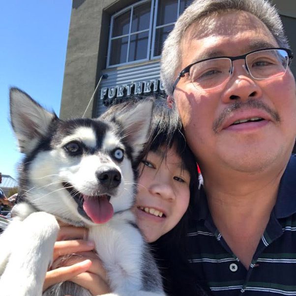 Alaskan Klee Kai Adoption - Victor